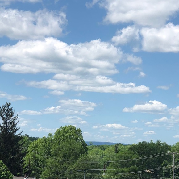 Meet your Posher, Dasha - Picture 1 of 1